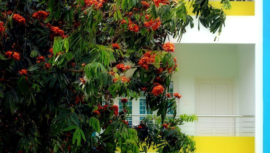 En Jays Residency Διαμέρισμα Kottayam Εξωτερικό φωτογραφία